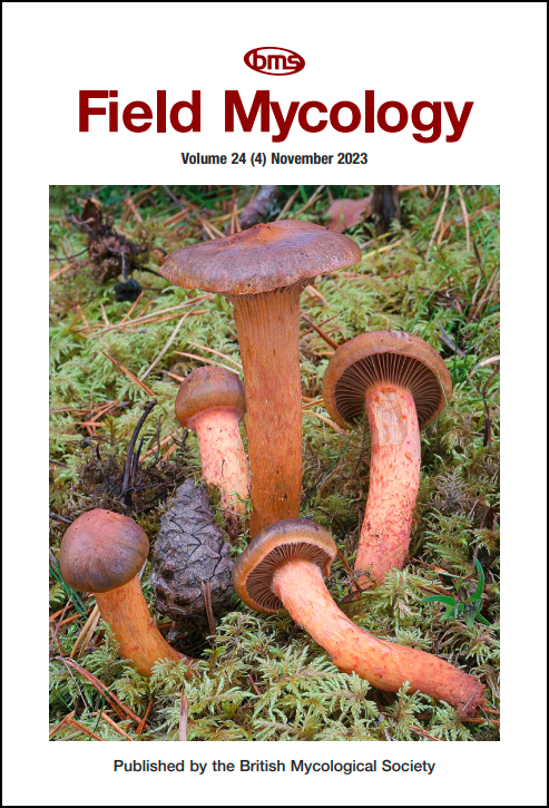 Front cover of Field Mycology - November 2023